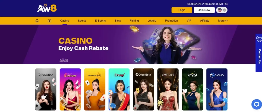 Casino Account Access