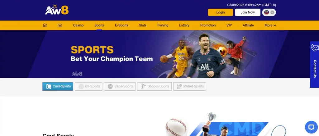 Sports Betting Account Access